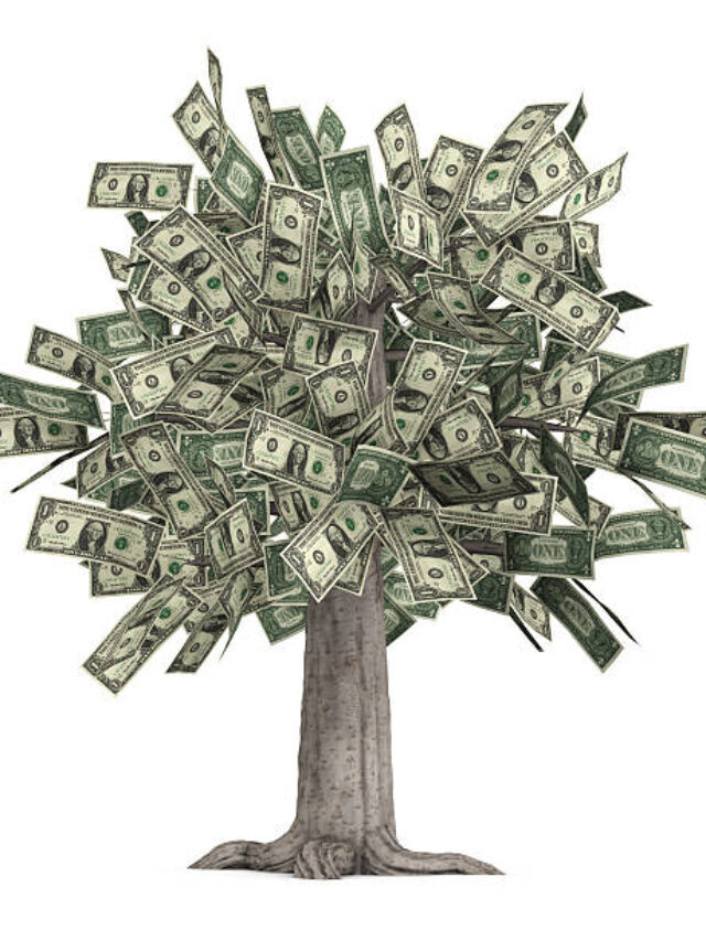 Who Says Money Doesn’t Grow On Trees?