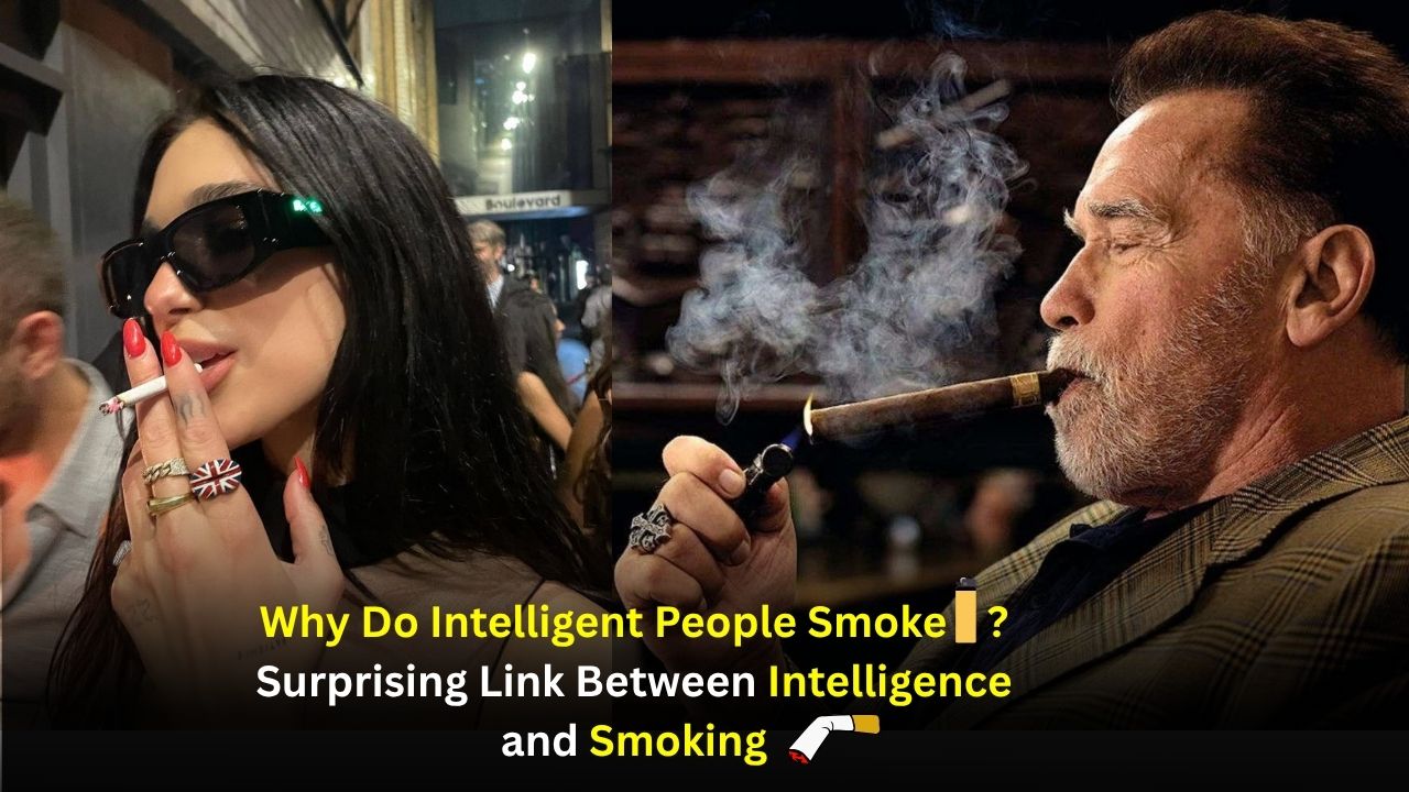 Why Do Intelligent People Smoke? Exploring the Surprising Link Between Intelligence and Smoking